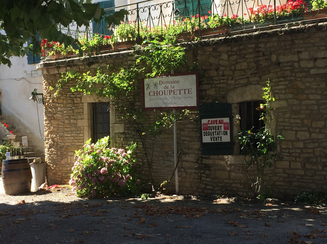 Domaine De La Choupette-Gutrin Fils景点图片