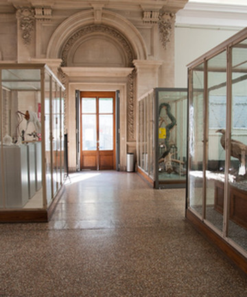 Musée de Zoologie Lausanne景点门票图片