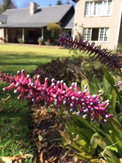 A Peaceful Retreat Bed & Breakfast主图