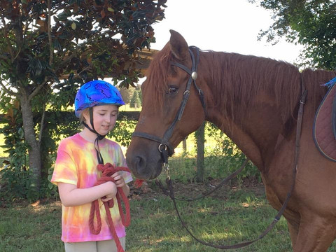 Party Animals Pony Rides-Morriston必去景点