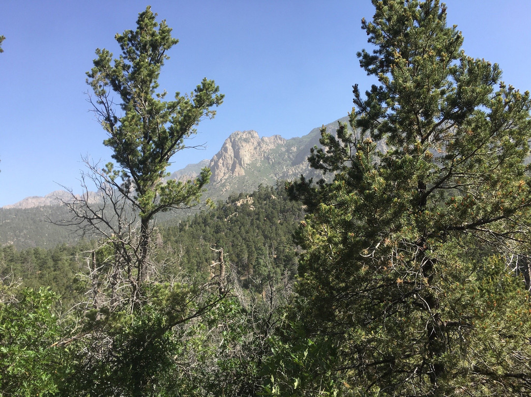 Pino Canyon-Tijeras必去景点