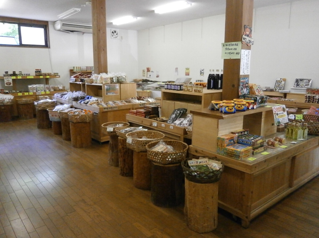 Michi-no-Eki Hidafurukawa Ibushi-飞弹市必去景点