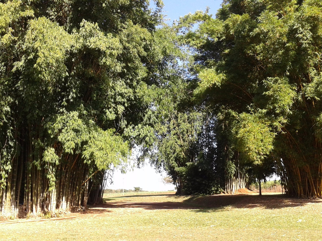 Museu da Cana-Sertaozinho必去景点