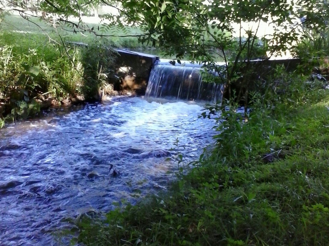 Aquinas College-大急流市必去景点