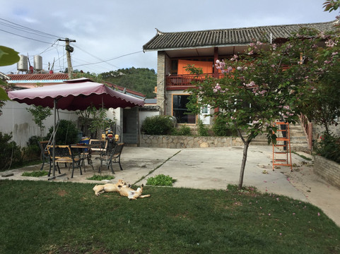 香格里拉龙门客栈（古城北门店）主图