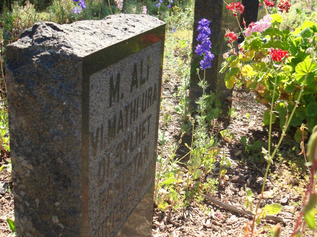 Old City Cemetery-沙加缅度必去景点