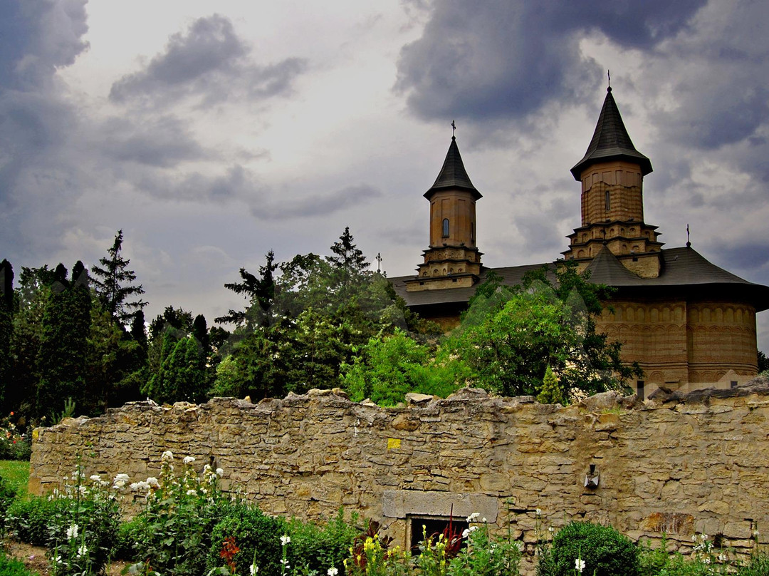 Galata Monastery (Mănăstirea Galata)景点图片