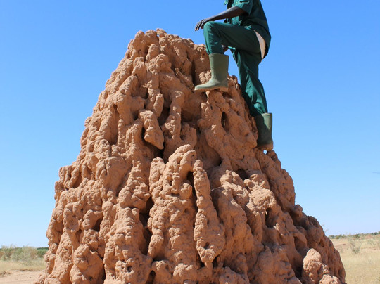 Koure Giraffe Reserve-Koure必去景点