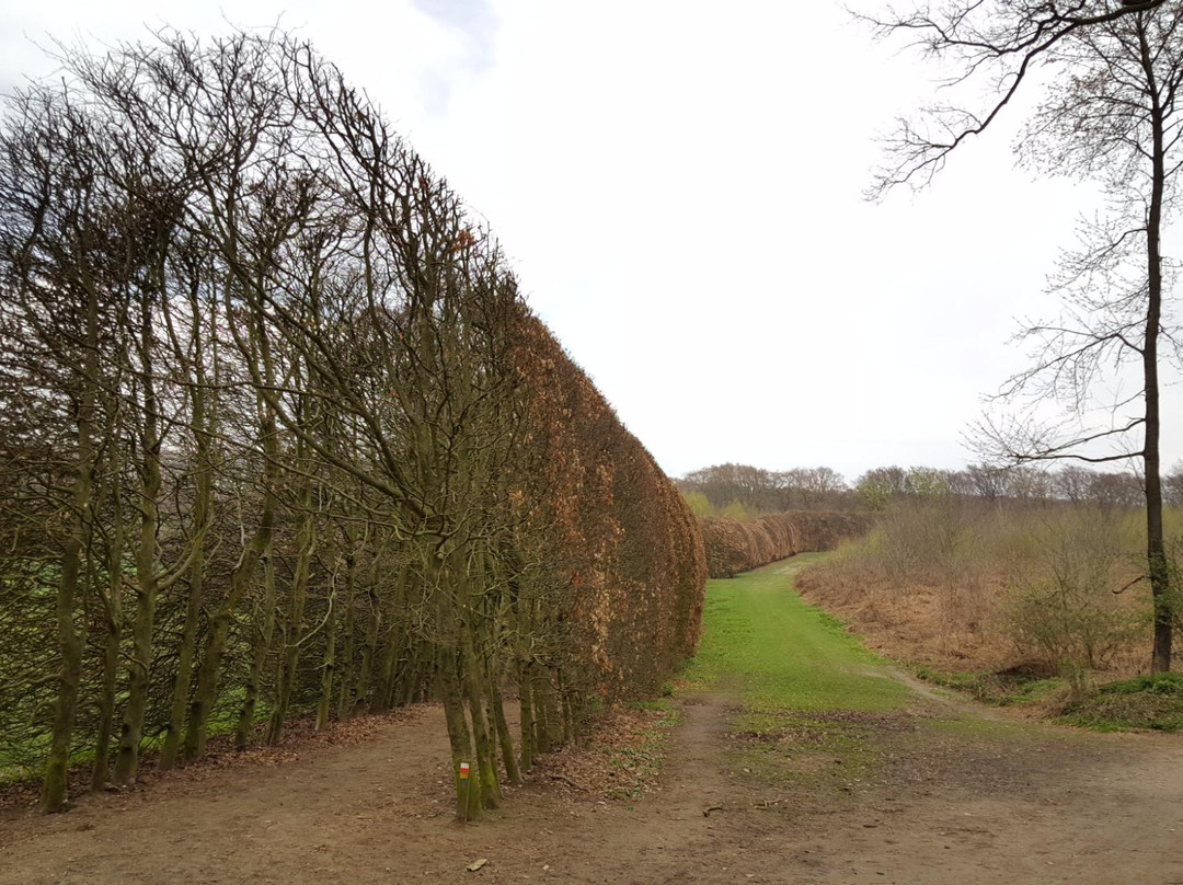 Landgoed Mariendaal-Oosterbeek必去景点