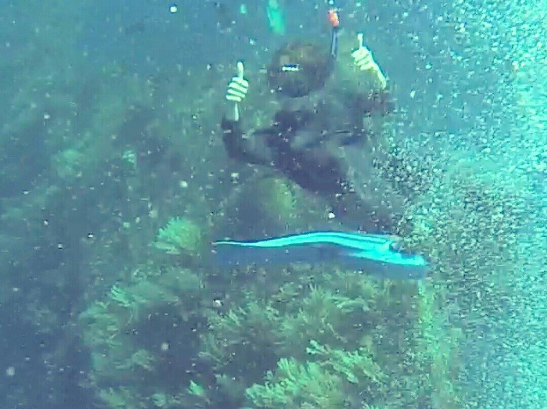 Bali Blue Diving PADI Resort-沙努尔必去景点