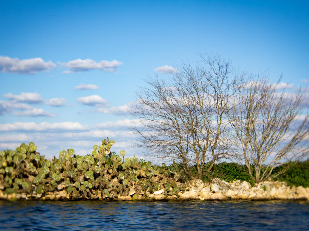 布劳尼格湖-圣安东尼奥市必去景点