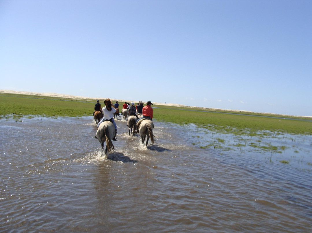 Haras Itapua Sul景点图片