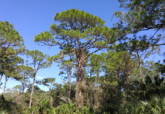 Happehatchee Center-埃斯特罗必去景点