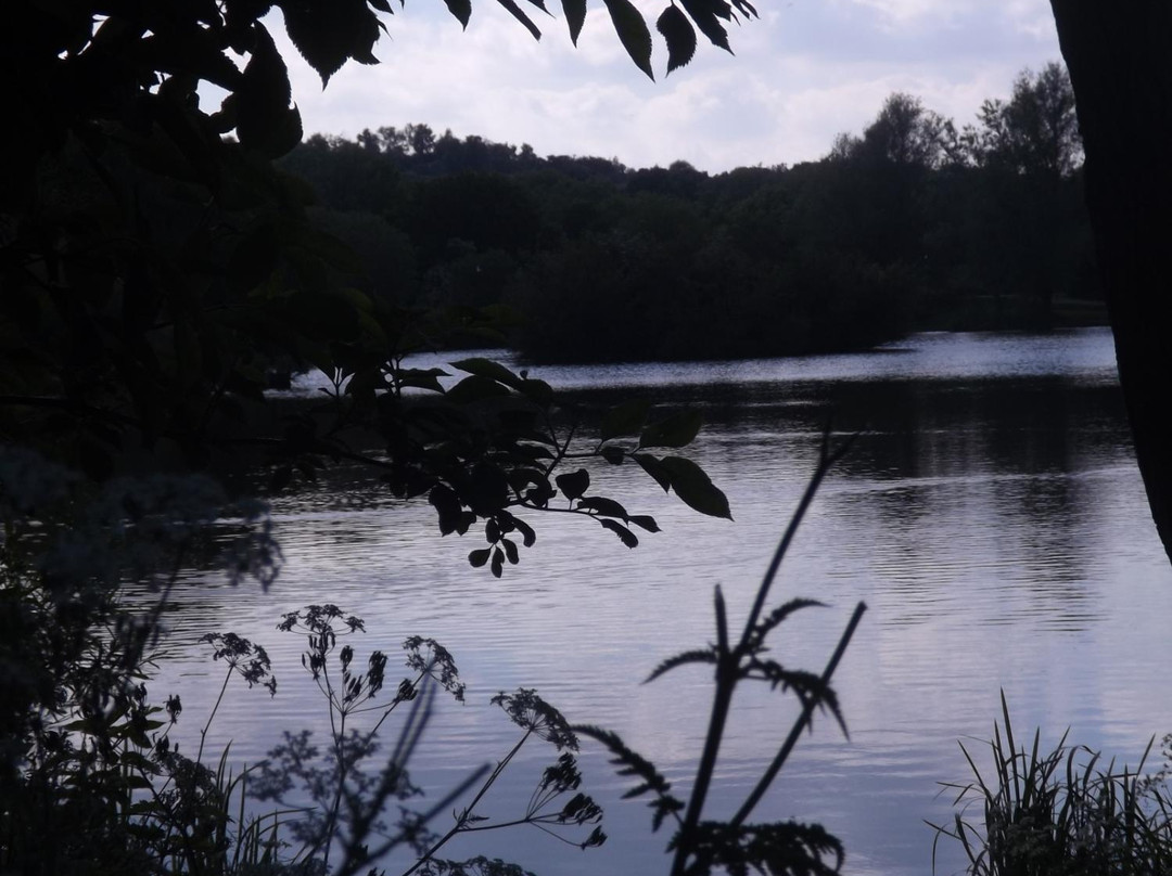 Dearne Valley Park景点图片