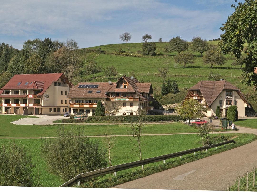 Biederbach酒店住宿-Landgasthof Adler Pelzmuhle