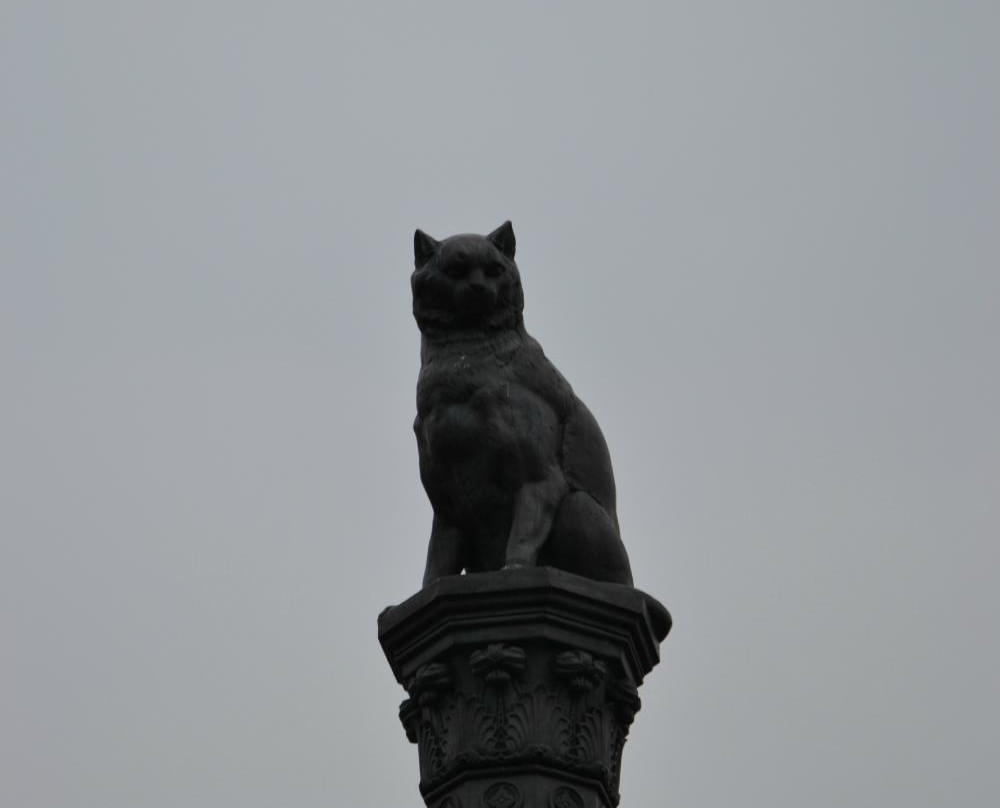 Cat Memorial-卡罗维发利必去景点