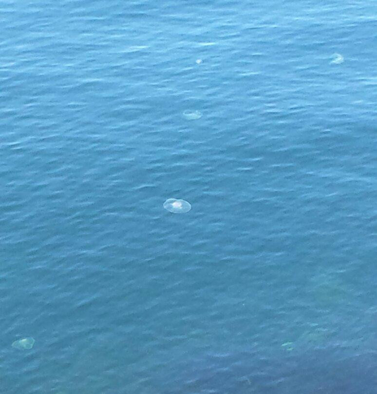 Pender Hill Park-马德拉公园镇必去景点