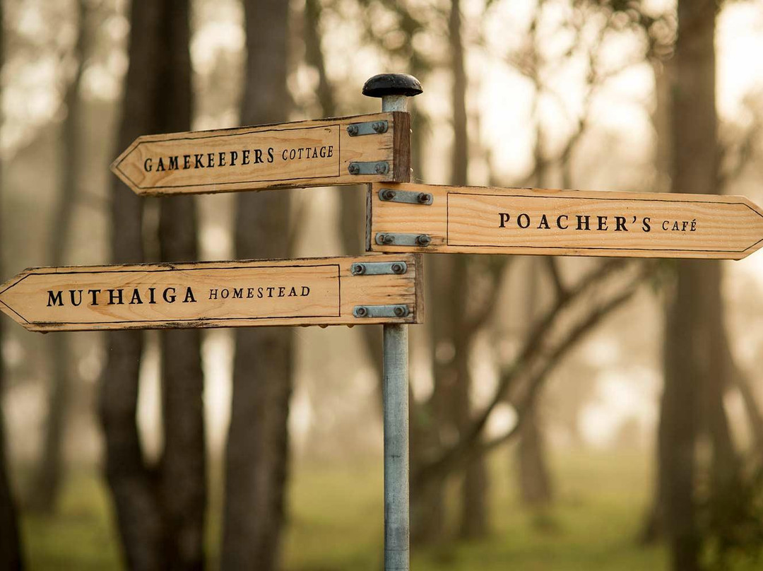 Poacher’s Ridge-Mount Barker必去景点