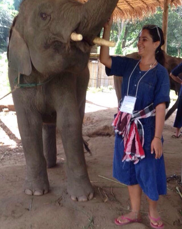 昌泰大象保护区-清迈必去景点