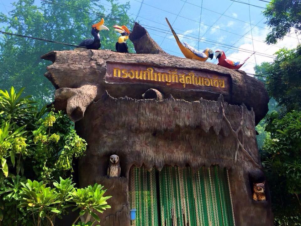 Chainat bird park-猜纳必去景点