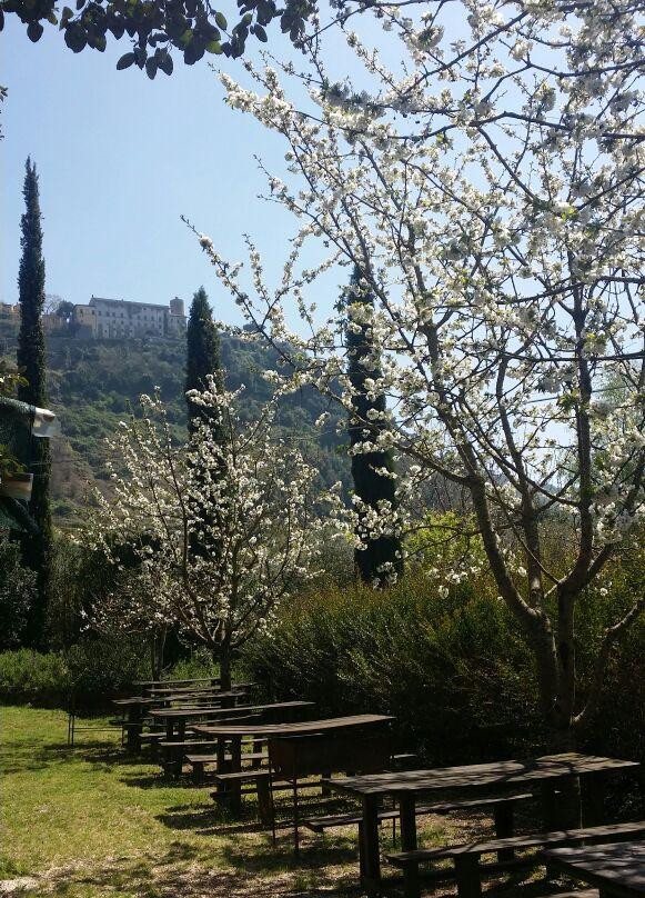 Azienda Il Giardino di Diana-Nemi必去景点