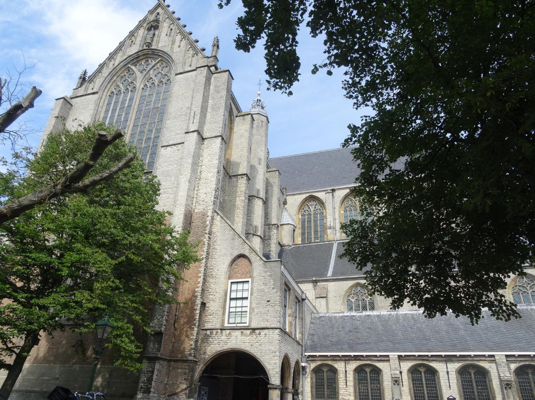 Grote Sint Laurenskerk景点图片