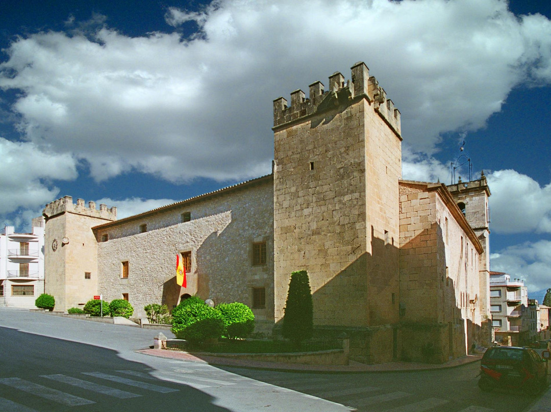 Palacio del Marques de Dos Aguas景点图片