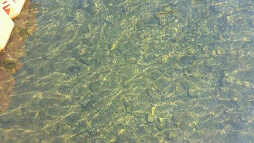 Parque Nautico De Jaguara主图