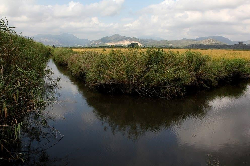 Parque Natural del Marjal de Pego-Oliva景点图片