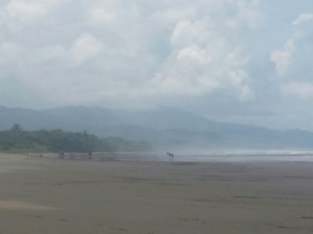 Playa Matapalo景点图片