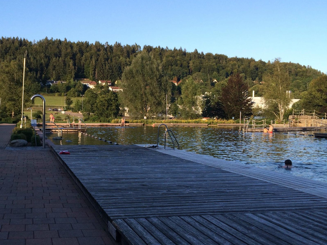 Naturbad Albstadt景点图片