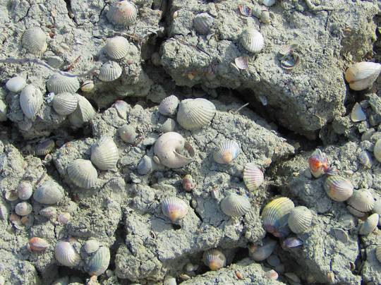 Alikes Lefkimis-Molos必去景点