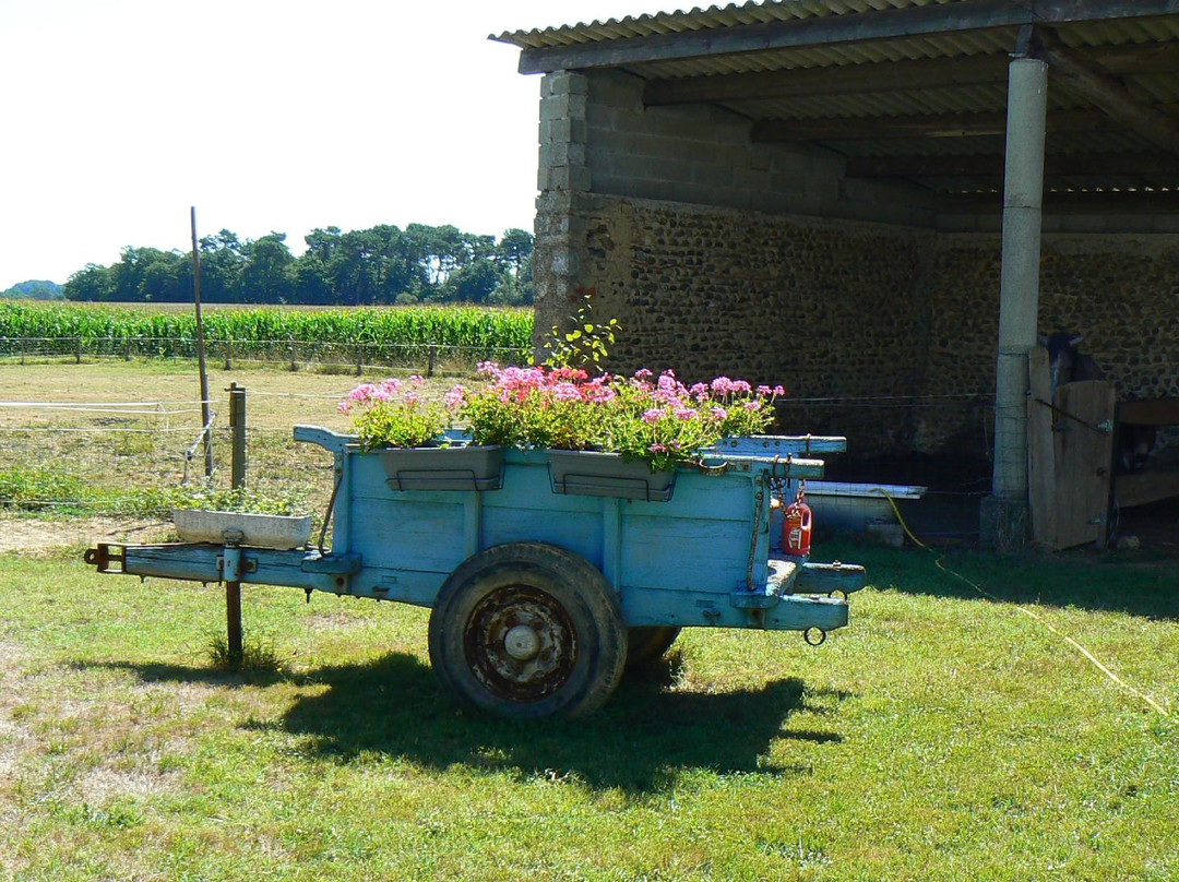 Chambres D'Hotes La Prade主图