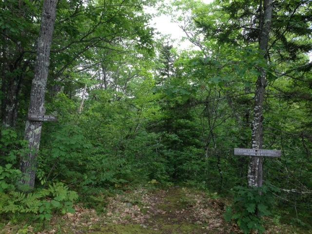 Camp Plymouth State Park-Ludlow必去景点