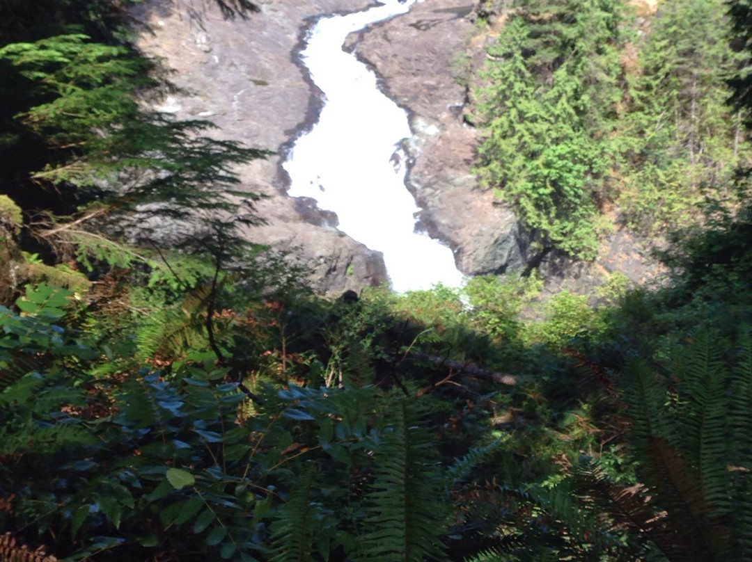 Elk Falls Provincial Park景点图片