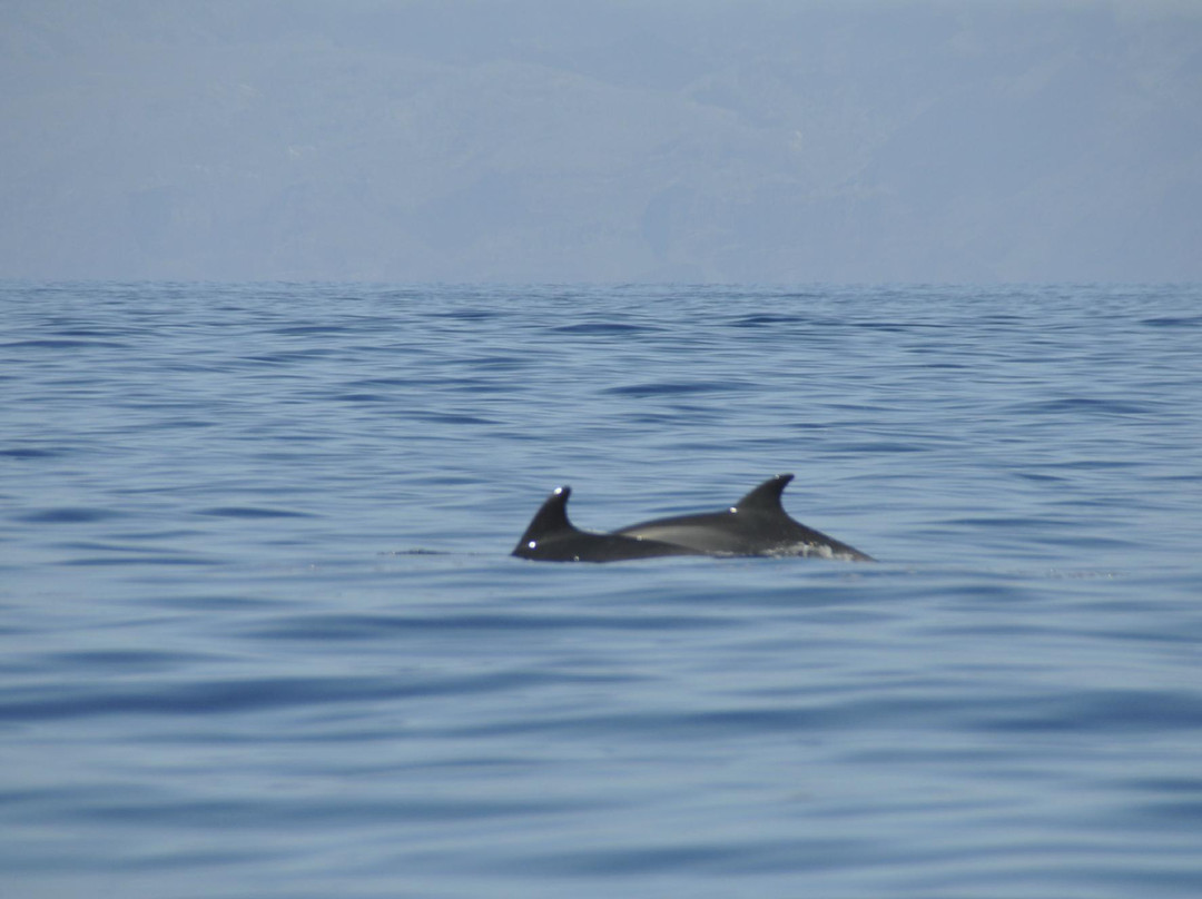 Jet Bike Safari-拉斯加勒塔斯必去景点