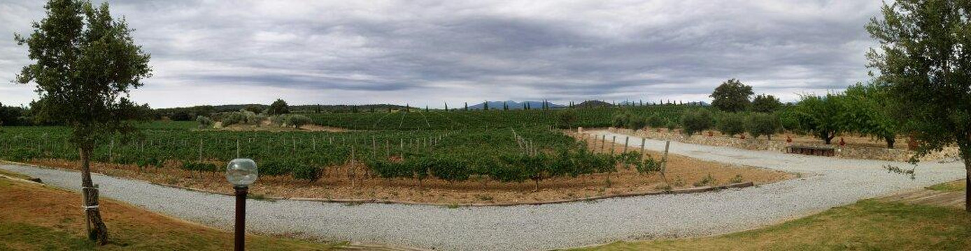 Mollet de Peralada旅游攻略图片