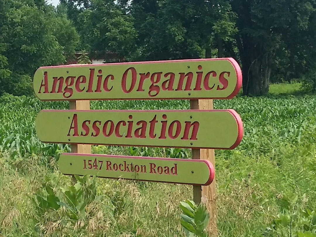 Angelic Organics Learning Center-Caledonia必去景点