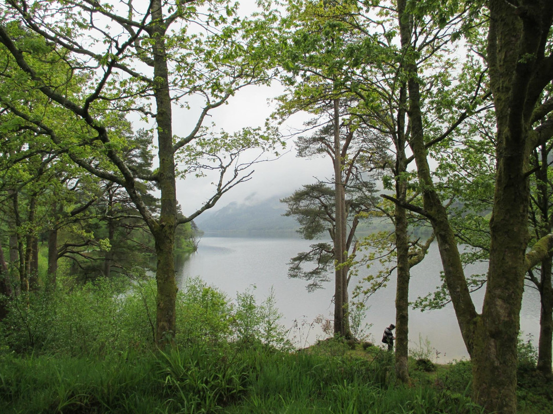 Argyll Forest Park景点图片