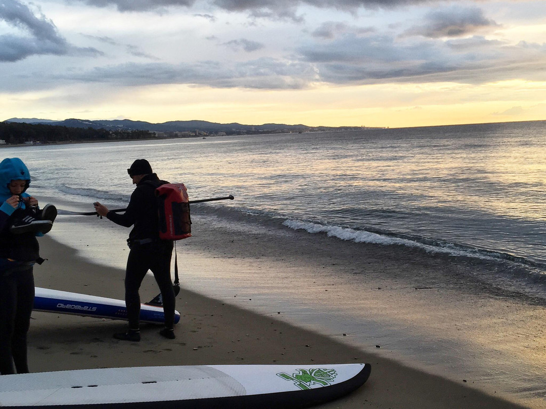 PaddleSurf Marbella-马贝拉必去景点