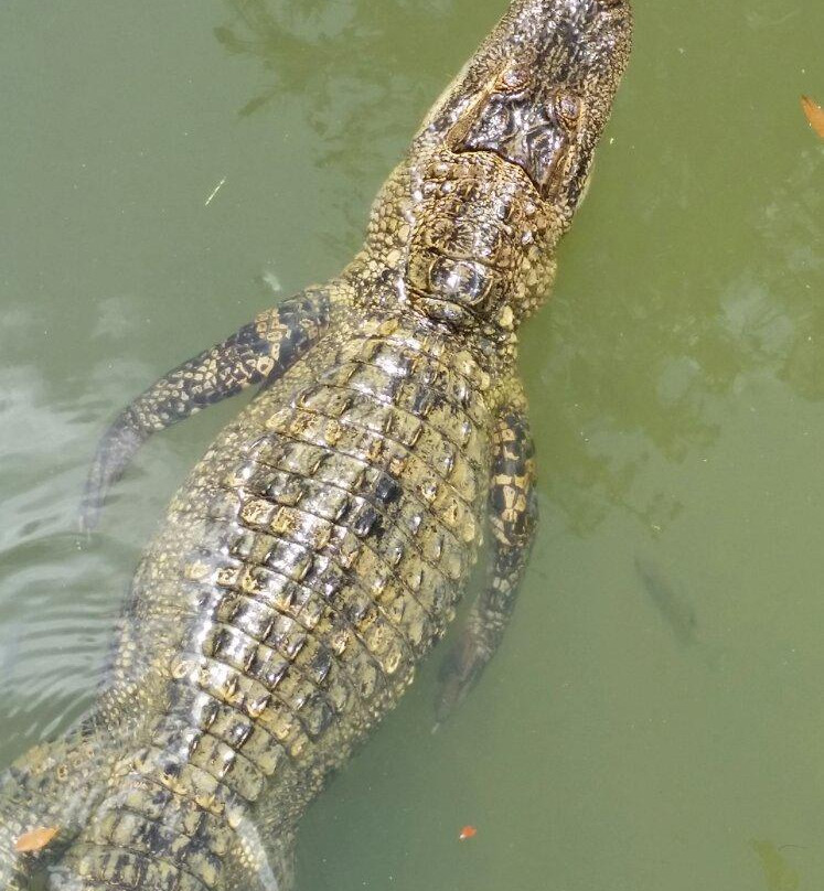 Warm Springs Regional Fisheries Center-Warm Springs必去景点