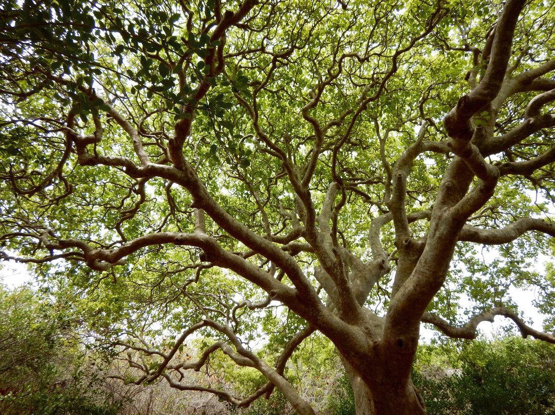 Sandy Cay-英属维尔京群岛必去景点