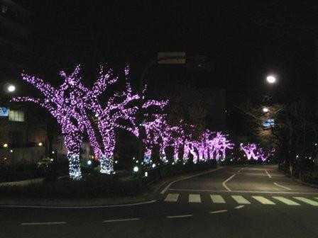 Harimazaka (Harima Slope)-文京区必去景点