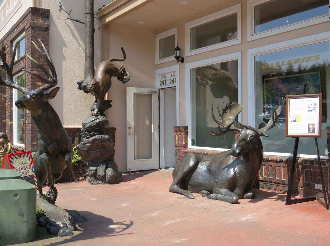 Caswell Sculpture Gallery-劳特代尔必去景点