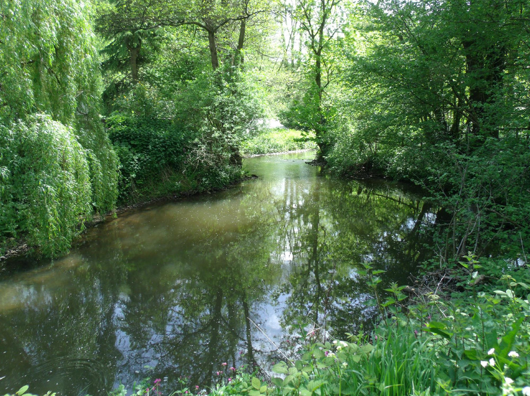 Knapp & Papermill Reserve景点图片