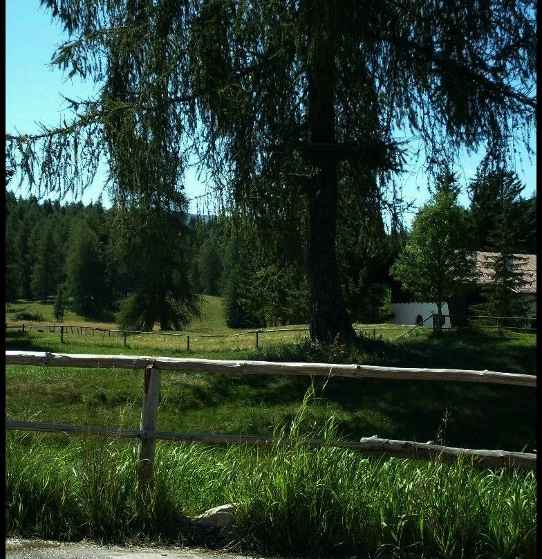 Gampen Pass-特伦托必去景点