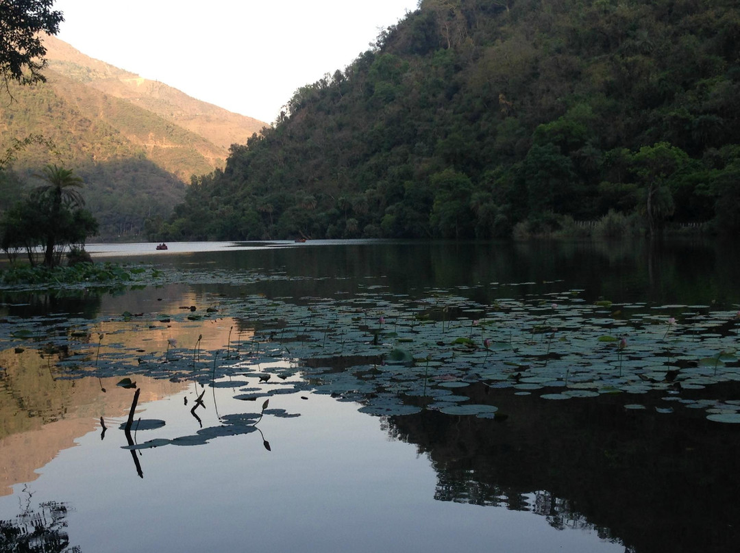 Renuka Wildlife Sanctuary景点图片