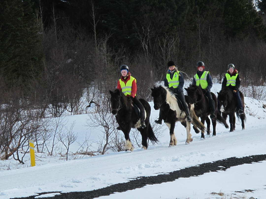 Icelandic Riding-雷克雅未克必去景点