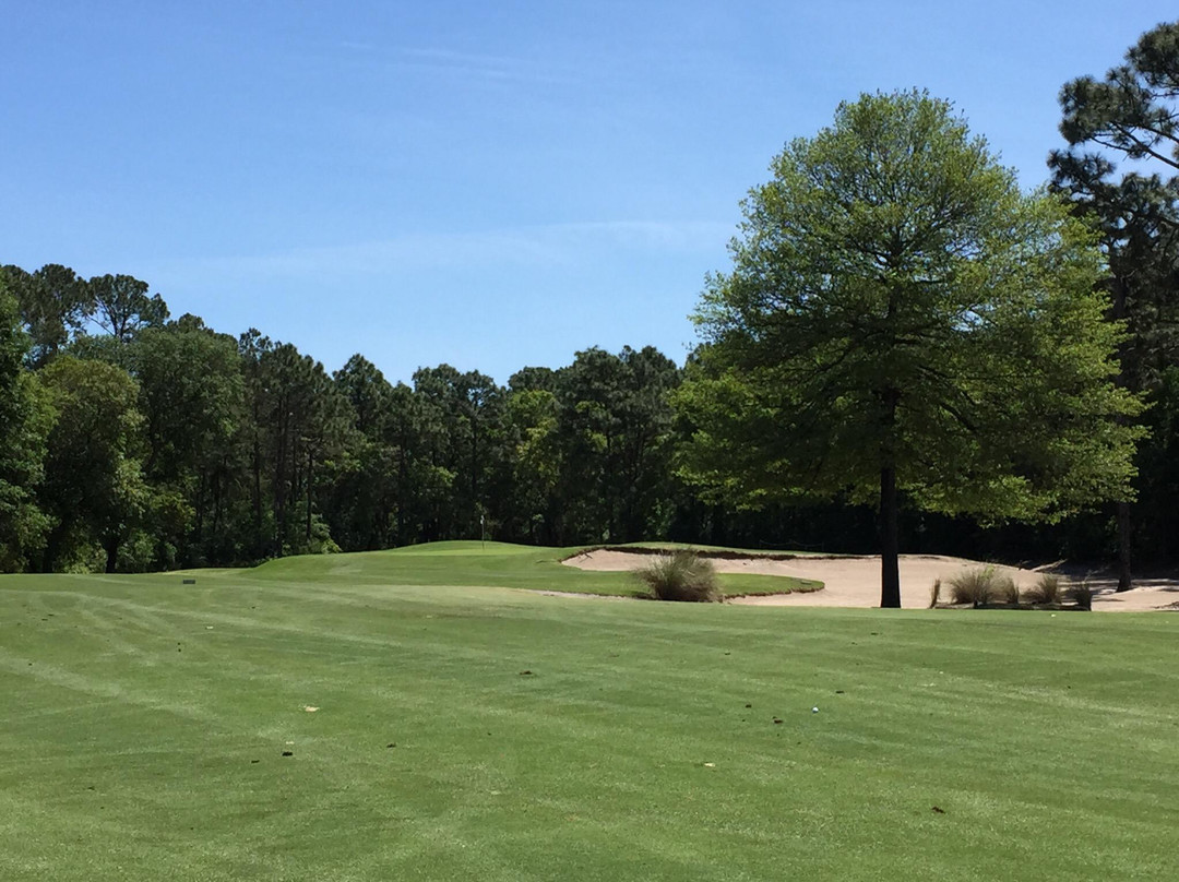 Tradition Golf Club-帕利斯岛必去景点