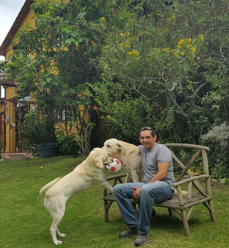 Yellow Guest House主图